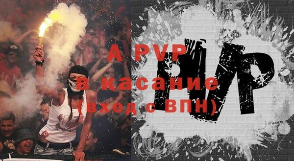 ECSTASY Богородицк