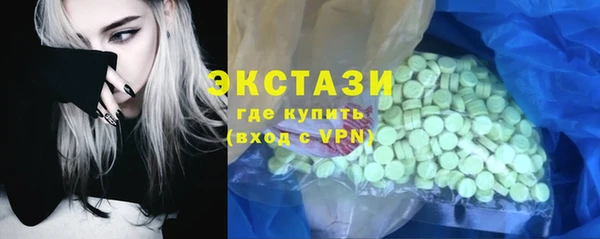 ECSTASY Богородицк