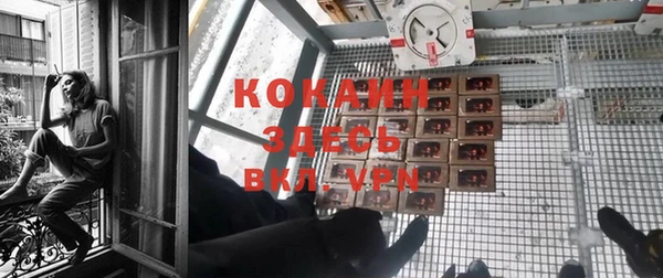ешки Бронницы