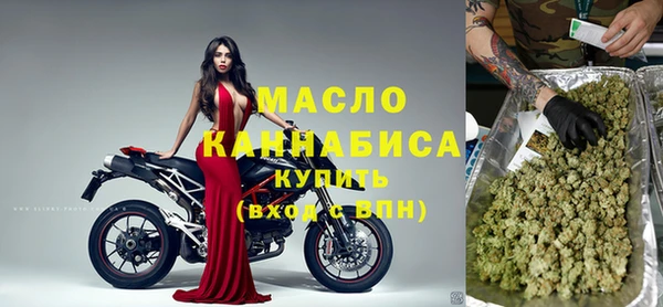 ECSTASY Богородицк