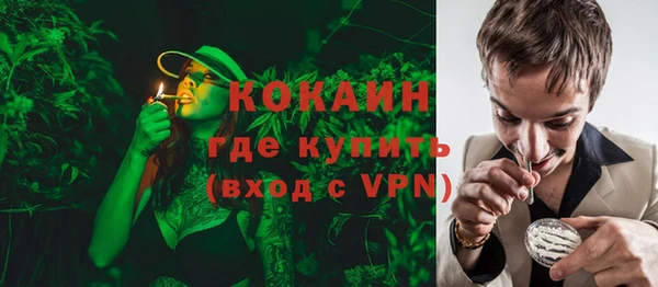 ешки Бронницы