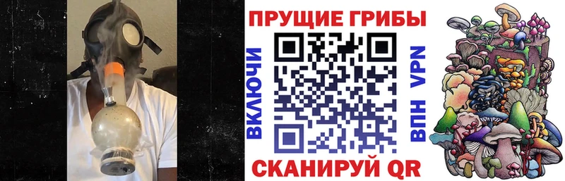 Галлюциногенные грибы Cubensis  купить наркоту  Динская 